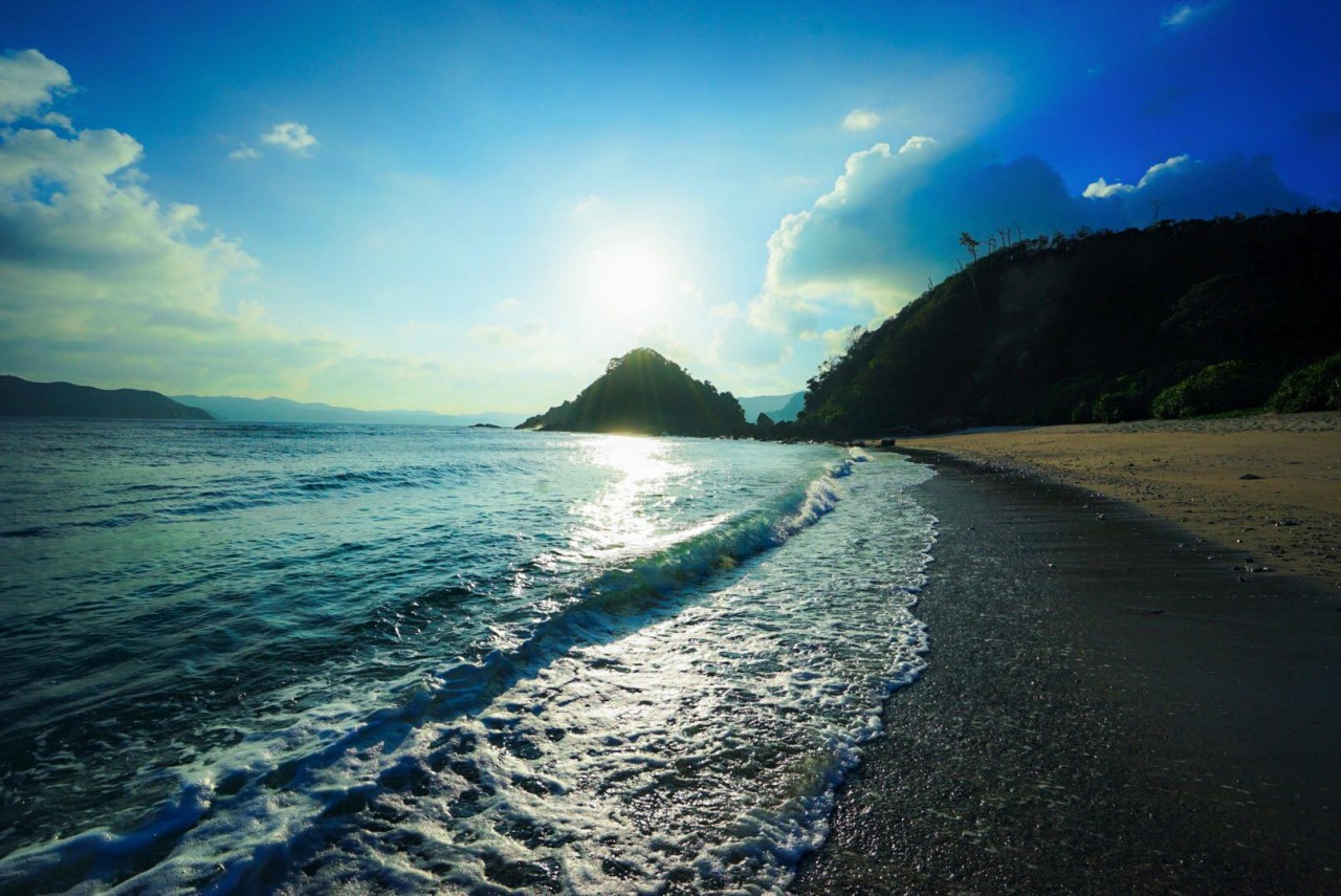 奄美の日差しもハンパない。