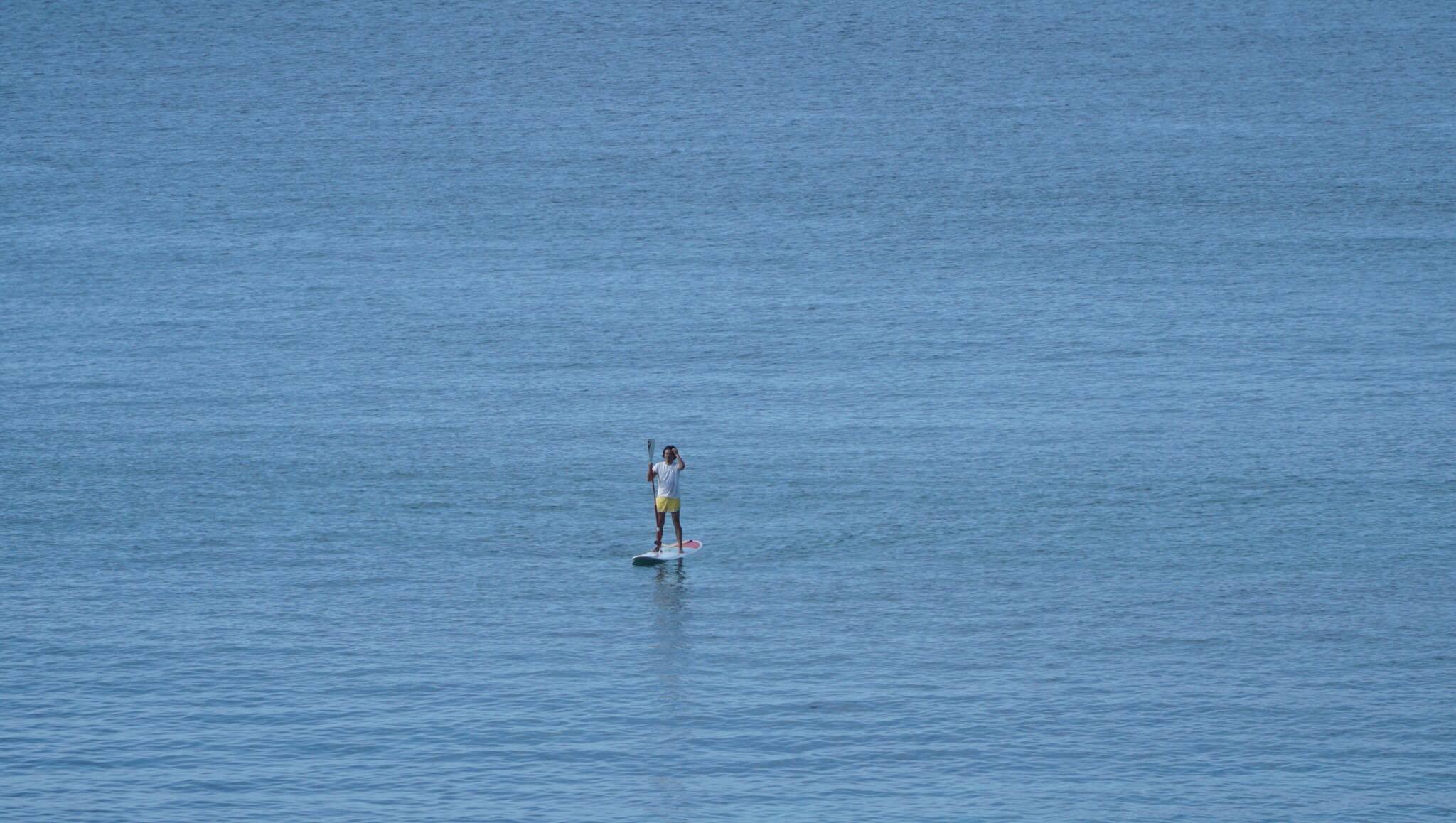 14407931_919679378138625_1556394273_o