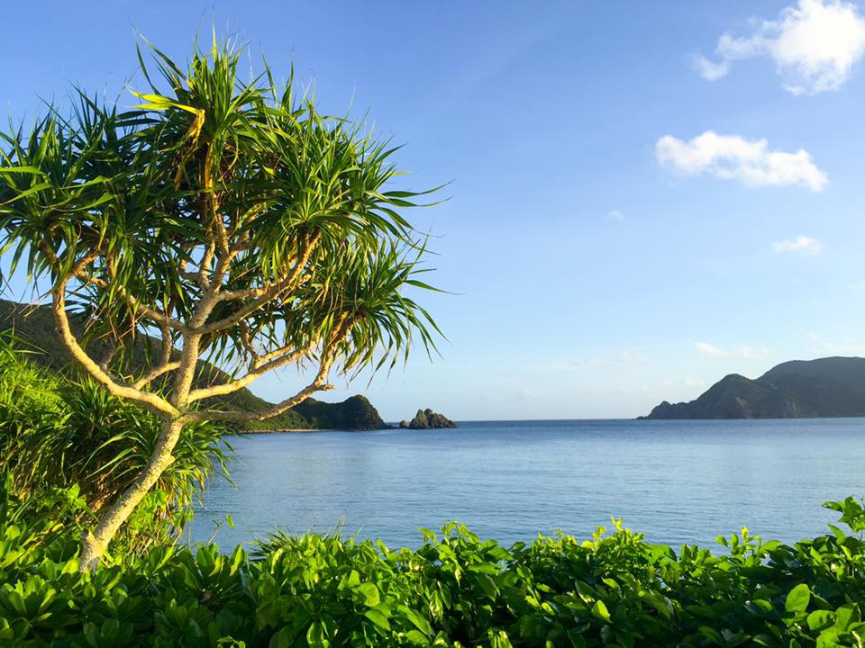 台風は一体どこに行ったのやら