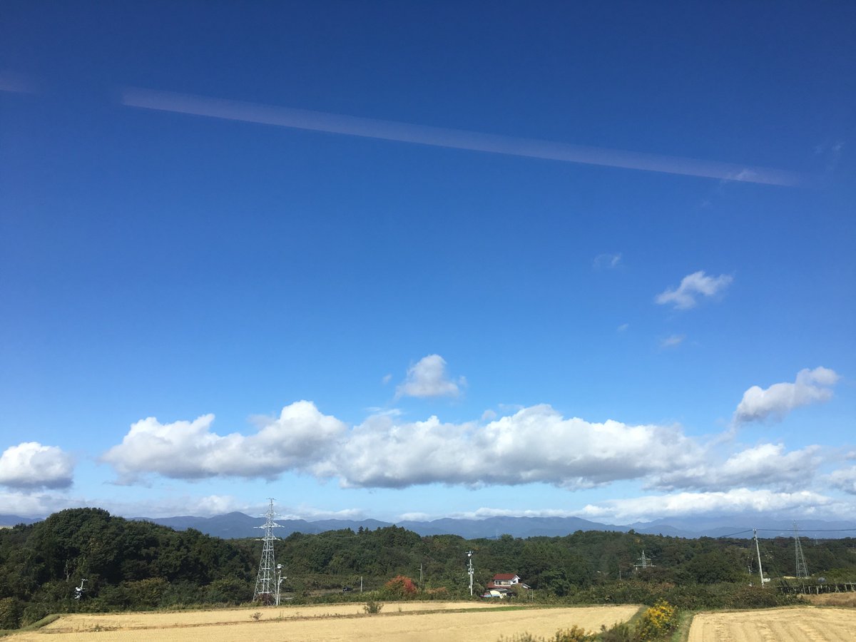 それにしても良い天気だこと。